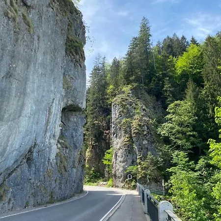 Maringga * Obermaiselstein